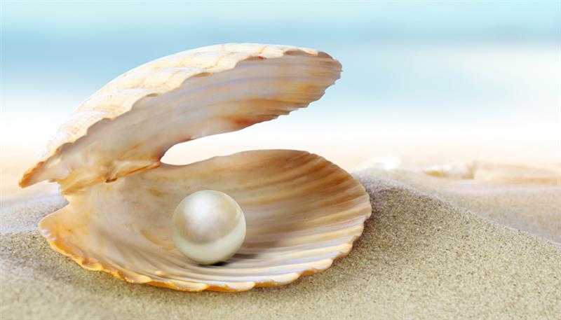 Le ostriche, scrigni naturali di preziose perle